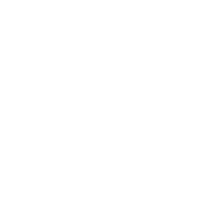 RainyRoof logo
